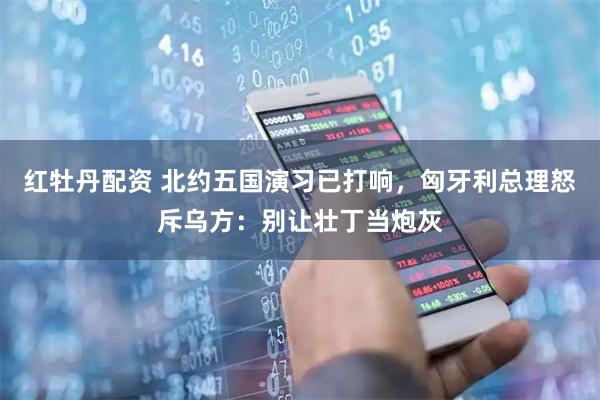 红牡丹配资 北约五国演习已打响，匈牙利总理怒斥乌方：别让壮丁当炮灰
